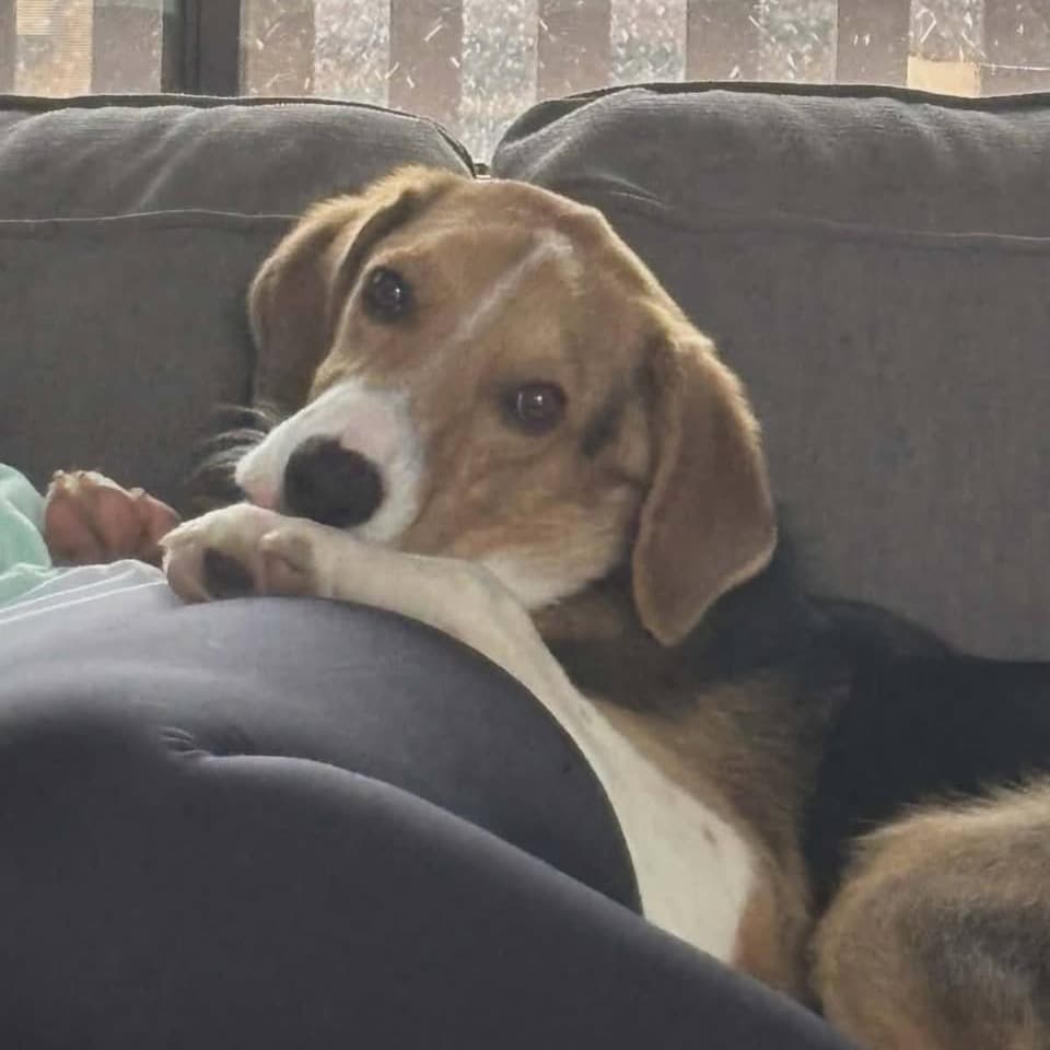 Opie