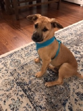 Jax — OSCAR adoption story