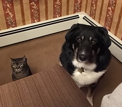 Jethro — OSCAR adoption story