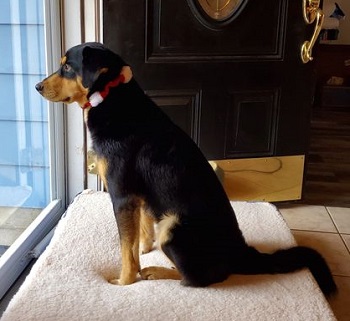 Berkeley — OSCAR adoption story