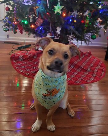 Grace — OSCAR adoption story