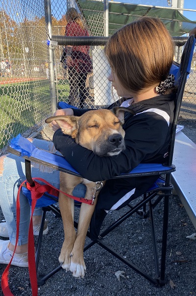 Willow — OSCAR adoption story