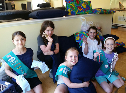 Girl Scout Troop 4546 photo 1