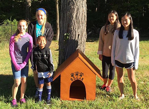 Hanover Township Girl Scout Troop 309 photo 1