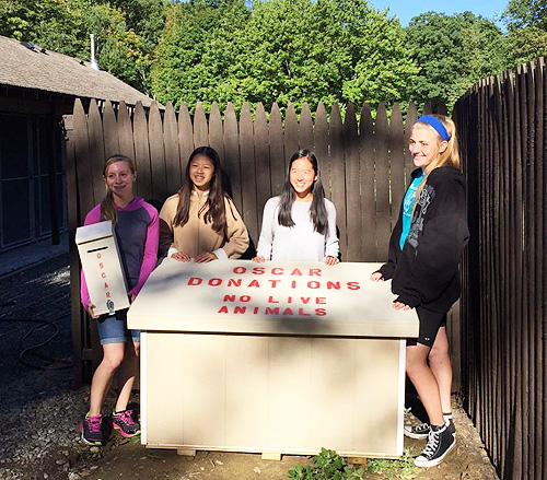 Hanover Township Girl Scout Troop 309 photo 3