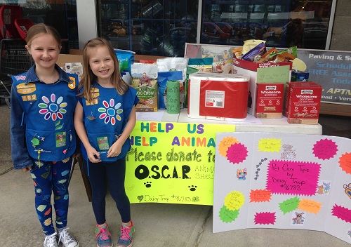 Daisy Troop #96783 photo 4