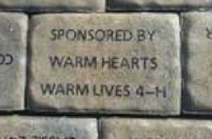 Warm Hearts Warm Lives 4H Club photo 2